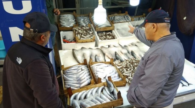 Sinop'ta palamudun tanesi 35 liradan satışa sunuldu: 'Fiyat biraz yüksek'