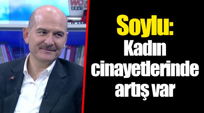 Soylu: Kadın cinayetlerinde artış var