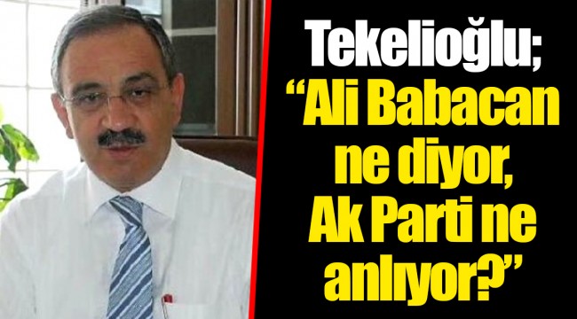 Tekelioğlu; "Ali Babacan ne diyor, Ak Parti ne anlıyor?"