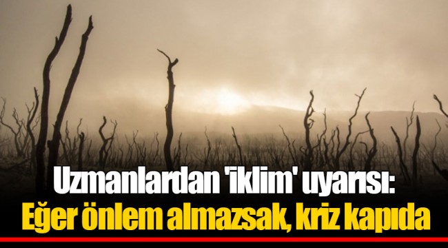 Uzmanlardan 'iklim' uyarısı: Eğer önlem almazsak, kriz kapıda