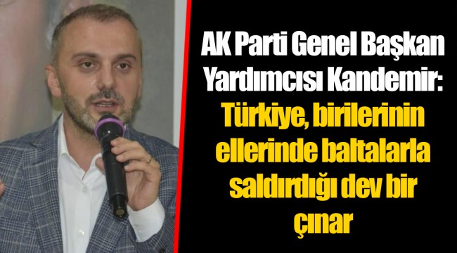 AK Parti Genel Başkan Yardımcısı Kandemir: Türkiye, birilerinin ellerinde baltalarla saldırdığı dev bir çınar
