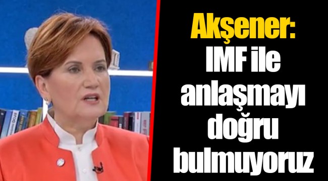 Akşener: IMF ile anlaşmayı doğru bulmuyoruz