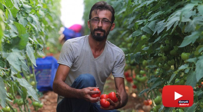 Antalya'da çiftçiye şok yaşatan ceza