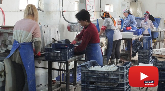 Bu fabrikada çalışanların tamamı kadın