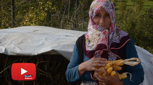 Bu ilçede insanlar uzun yaşıyor