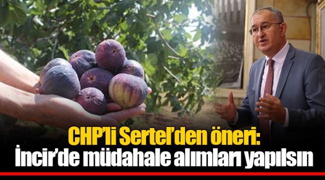 CHP’li Sertel’den öneri: İncir’de müdahale alımları yapılsın