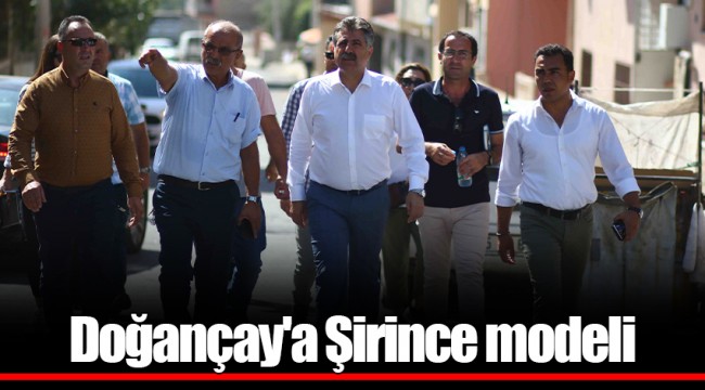 Doğançay'a Şirince modeli