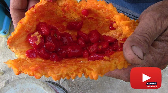 Her derde deva: "Kudret narı"