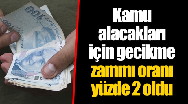 Kamu alacakları için gecikme zammı oranı yüzde 2 oldu