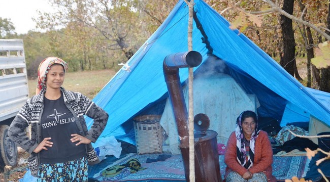 Kundaktaki bebeğiyle mantar nöbeti tutuyor