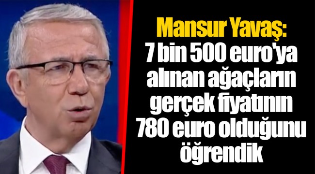 Mansur Yavaş: 7 bin 500 euro'ya alınan ağaçların gerçek fiyatının 780 euro olduğunu öğrendik