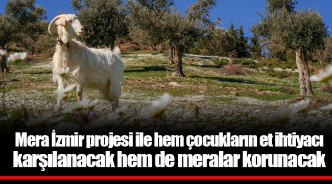Mera İzmir projesi ile hem çocukların et ihtiyacı karşılanacak hem de meralar korunacak