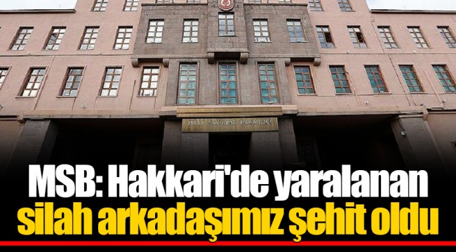 MSB: Hakkari'de yaralanan silah arkadaşımız şehit oldu