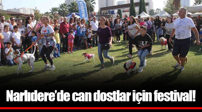 Narlıdere’de can dostlar için festival!