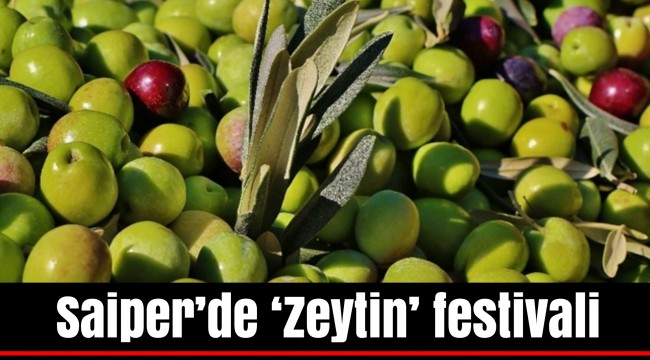 Saiper’de ‘Zeytin’ festivali