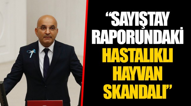 “SAYIŞTAY RAPORUNDAKİ HASTALIKLI HAYVAN SKANDALI”