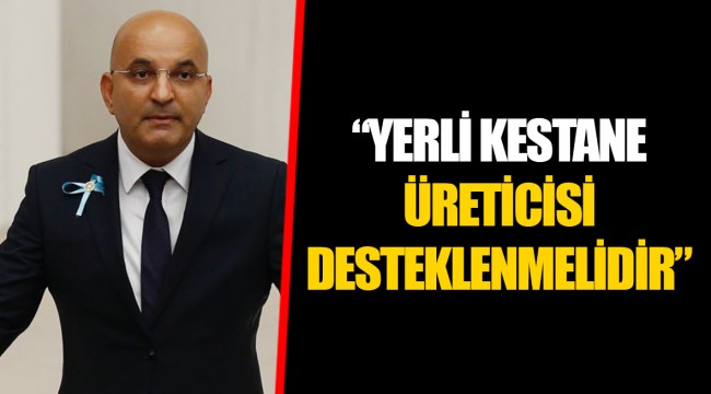 “YERLİ KESTANE ÜRETİCİSİ DESTEKLENMELİDİR”