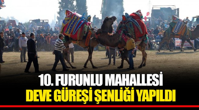 10. FURUNLU MAHALLESİ DEVE GÜREŞİ ŞENLİĞİ YAPILDI
