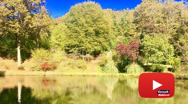 Atatürk Arboretumu'nda renk cümbüşü