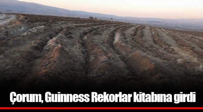 Çorum, Guinness Rekorlar kitabına girdi