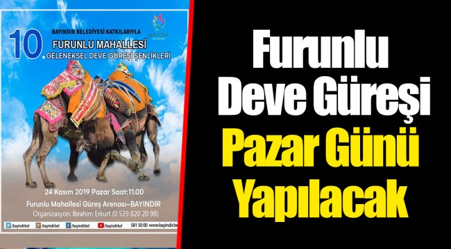 Furunlu Deve Güreşi Pazar Günü Yapılacak