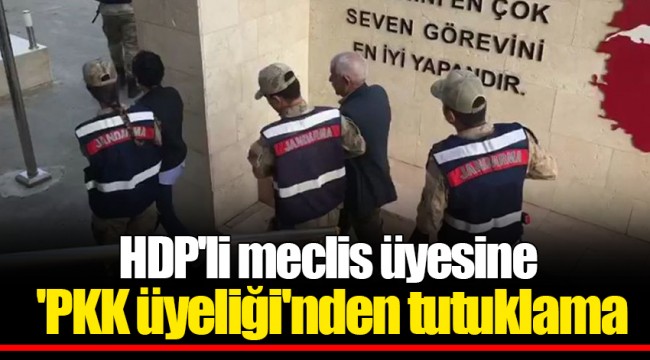 HDP'li meclis üyesine 'PKK üyeliği'nden tutuklama