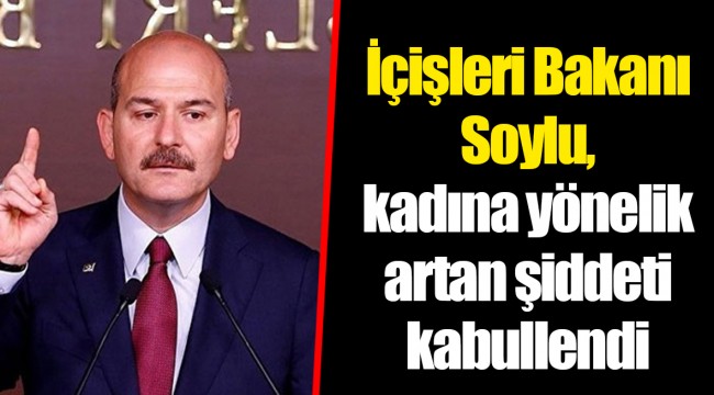 İçişleri Bakanı Soylu, kadına yönelik artan şiddeti kabullendi