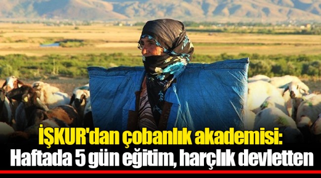 İŞKUR'dan çobanlık akademisi: Haftada 5 gün eğitim, harçlık devletten
