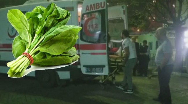 İstanbul'daki ıspanak zehirlenmelerinin nedeni ortaya çıktı!