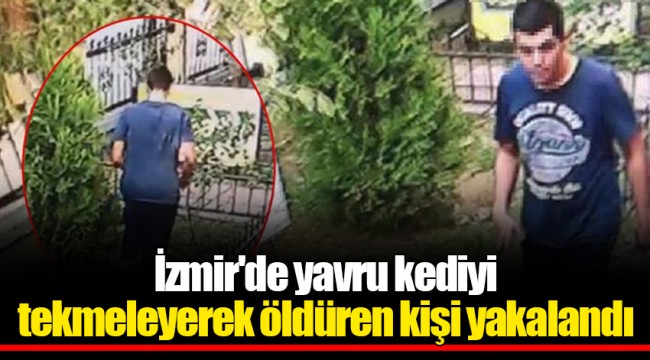 İzmir'de yavru kediyi tekmeleyerek öldüren kişi yakalandı