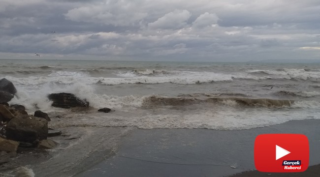 Karadeniz kabardı, dalgalar sahili kapladı