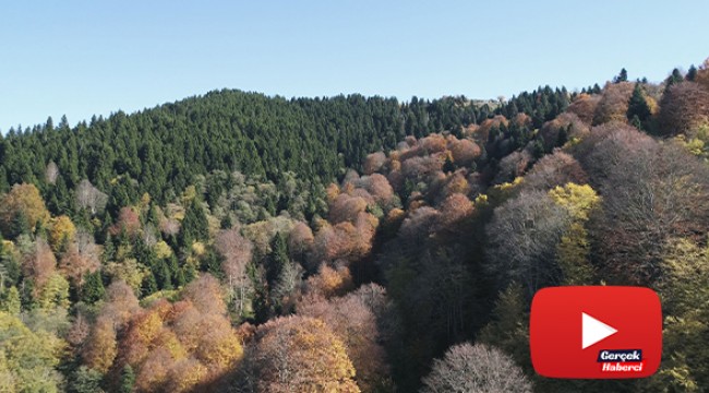 Karadeniz yaylalarında sonbahar