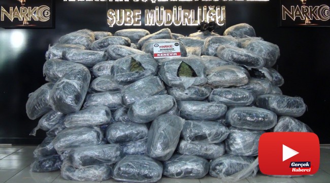 Kullanıma hazır 489 kilogram esrar ele geçirildi
