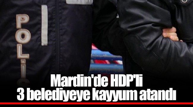 Mardin'de HDP'li 3 belediyeye kayyum atandı