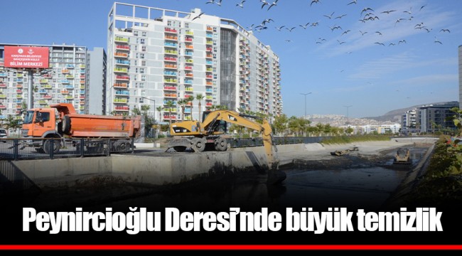 Peynircioğlu Deresi’nde büyük temizlik