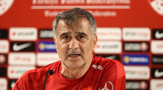Şenol Güneş: Bana 'paracı' diyenler ülkeyi soyuyor