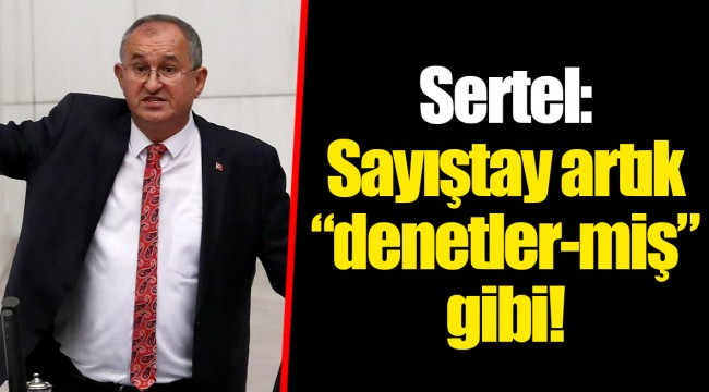Sertel: Sayıştay artık “denetler-miş” gibi!