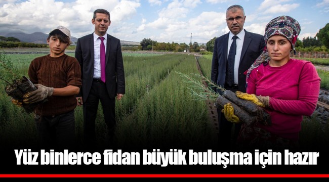Yüz binlerce fidan büyük buluşma için hazır
