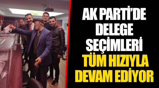 AK PARTİ’DE DELEGE SEÇİMLERİ TÜM HIZIYLA DEVAM EDİYOR