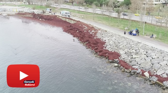 Caddebostan Sahili kızıla büründü