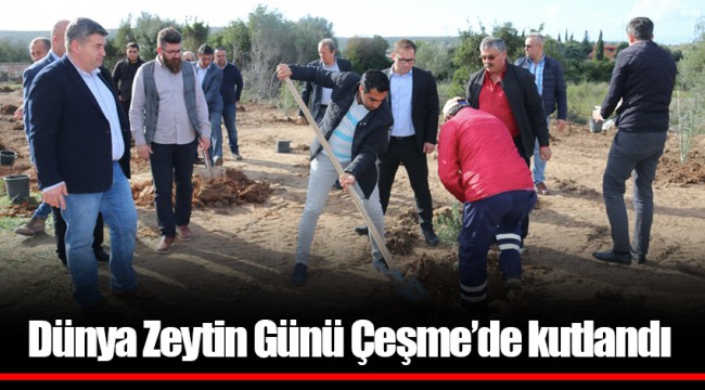 Dünya Zeytin Günü Çeşme’de kutlandı