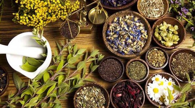 Fitoterapi kanser hastalarına çare olabiliyor