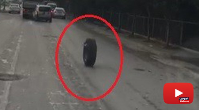 Kamyondan fırlayan tekerlek trafikte onlarca metre böyle gitti