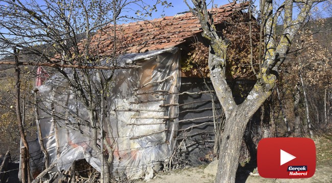 Kış günü naylon barakada yaşam savaşı
