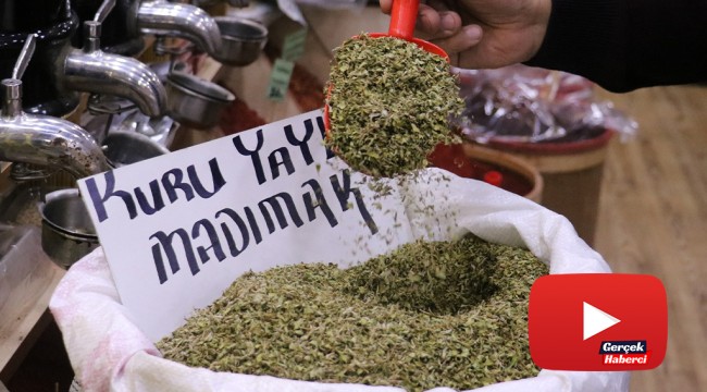 Kurusu yaşının 10 katı fiyatında