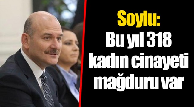 Soylu:  Bu yıl 318 kadın cinayeti mağduru var