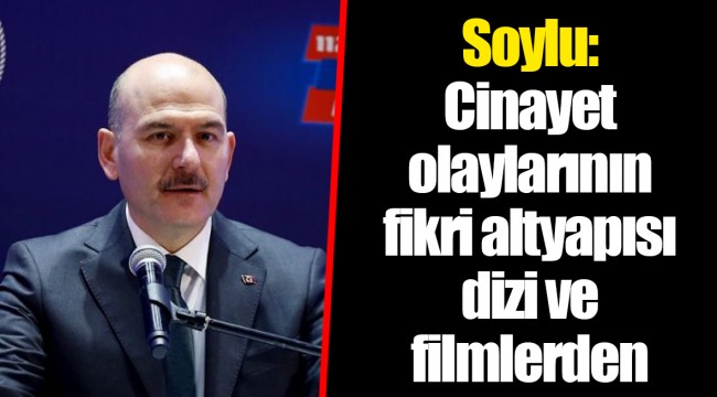 Soylu: Cinayet olaylarının fikri altyapısı dizi ve filmlerden