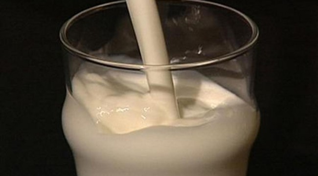 Süt içmek yaşam süresini etkilemiyor