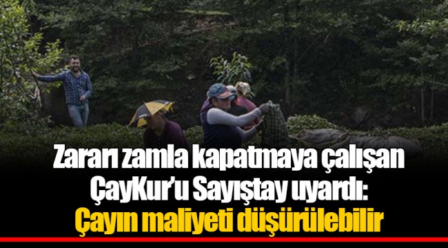 Zararı zamla kapatmaya çalışan ÇayKur’u Sayıştay uyardı: Çayın maliyeti düşürülebilir