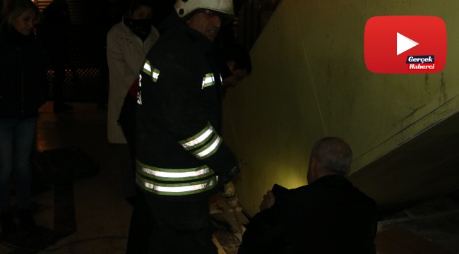 3 gün yürüyen merdiven altında mahsur kalan felçli kediyi itfaiye erleri kurtardı